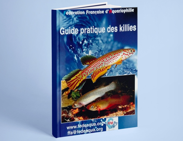 Guide pratique des killies