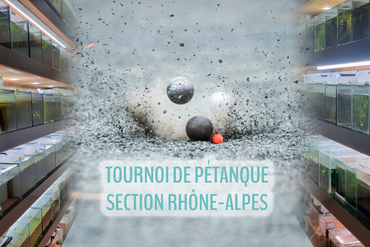 Réunion de section & tournoi de pétanque